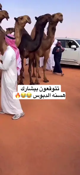 #الصياهد