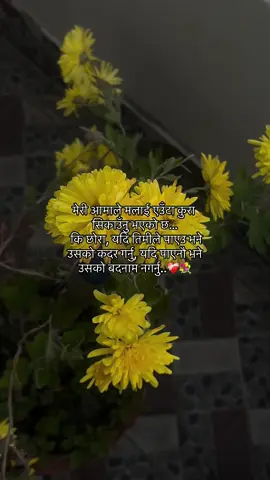 #fyp #jibankc #fyppppppp #viral 