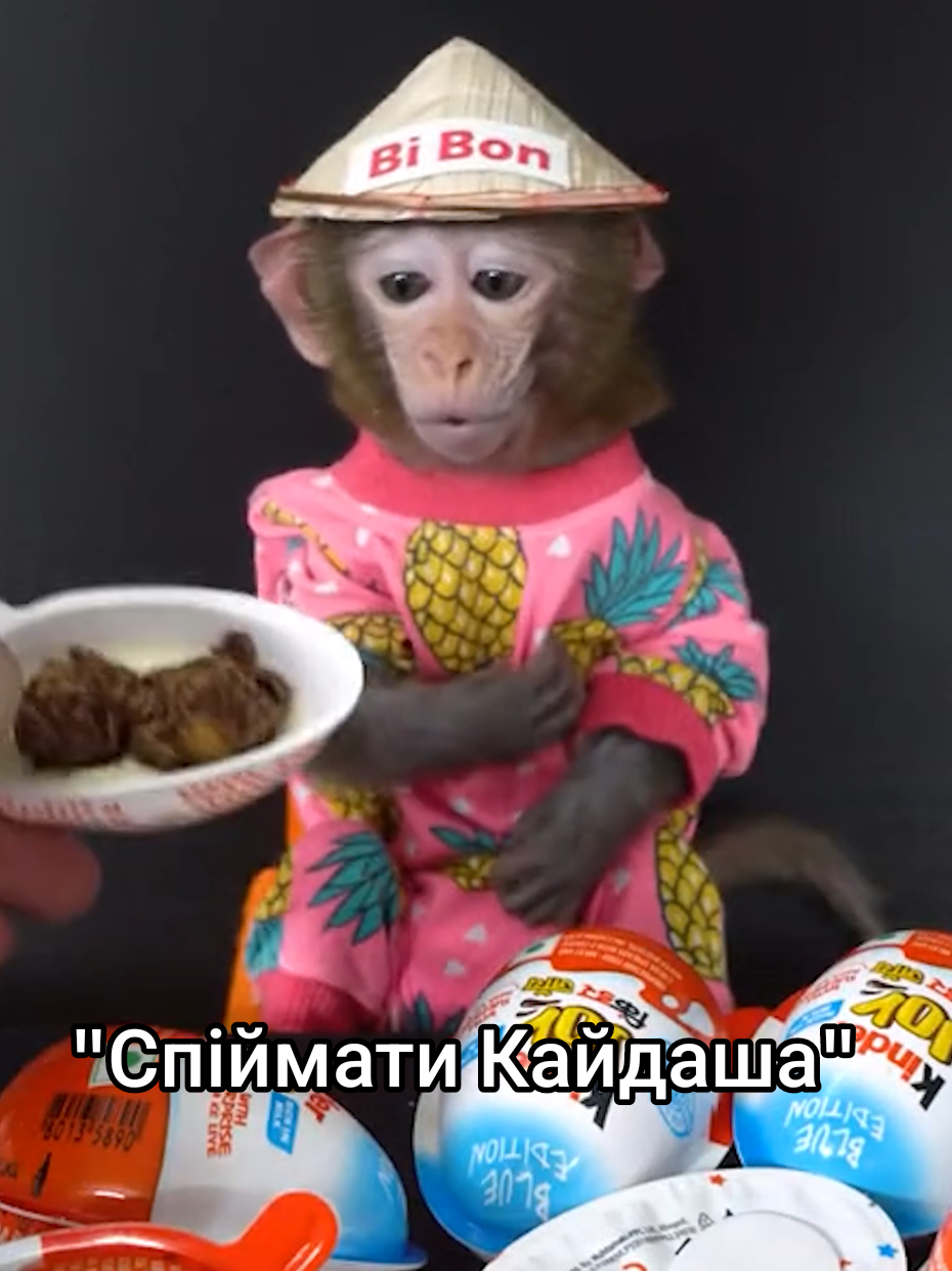 Гіфки / фони в тг  #спійматикайдаша #рекомендації🇺🇦 #манкі 