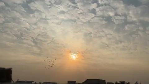 🌊💕 #explore #تصوريري #ايفون #tiktok #fyp 