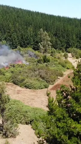 JATAM Sebut Lahan Tanaman Industri Prabowo di Aceh Picu Terjadinya Banjir Bandang. Kepemilikan Presiden Prabowo Subianto dalam konsesi Hutan Tanaman Industri (HTI) kembali disorot setelah banjir bandang menghantam Aceh, Sumut, dan Sumbar. Jaringan Advokasi Tambang (JATAM) Nasional merilis peta overlay yang menunjukkan bahwa sebagian titik banjir terparah berada di hilir konsesi industri, termasuk HTI milik PT Tusam Hutani Lestari (THL) yang sejak lama dikaitkan dengan Prabowo. THL menguasai sekitar 93–97 ribu hektare di Aceh Tengah, Bener Meriah, Aceh Utara, dan Bireuen semuanya berada di bentang hulu sungai yang rentan. Dokumen sebelumnya mencatat perusahaan ini memegang izin penanaman pinus di kawasan strategis tersebut. JATAM menyebut bencana kali ini tidak dapat dilepas dari struktur perizinan di hulu. Sedikitnya 30 izin tambang minerba seluas 132 ribu hektare berada berdekatan dengan HTI, HPH, dan kebun sawit skala besar. Sorotan publik pun menguat: curah hujan hanyalah pemicu, sementara pola izin termasuk yang bersinggungan dengan kepala negara ikut membentuk skala bencana di Sumatra. #HTIPrabowo #BanjirSumatra #KrisisLingkunganAceh #JATAMIndonesia #DASRusak