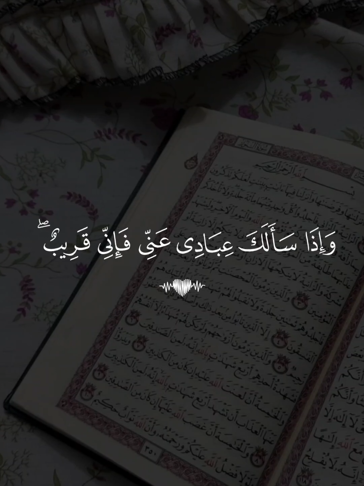 🕳️ تلاوة خاشعة بصوت القارئ مشاري العفاسي سورة البقرة  #تلاوة_خاشعة #قران #quran #fyp #foruyou 