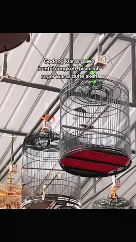 bismillah. 😇😇 #kicaumaniaindonesia #muraibatuindonesia #kicaumanianusantara #muraibatumania #muraifighter 