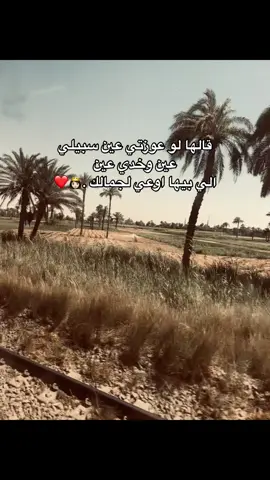 #فولو🙏🏻لايك❤️اكسبلور🙏🏻🌹💫 #الكويتي_ياعم #فادي_الكويتي 