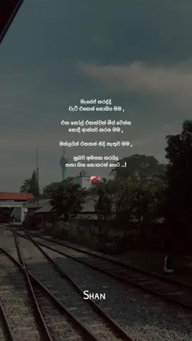නුබව අමතක කරයිද කතා බහ නොකලත් හෙට .. 🥺❤️‍🩹.. #sinhalaquotes #fyp #viralvideo #goviral #mention 
