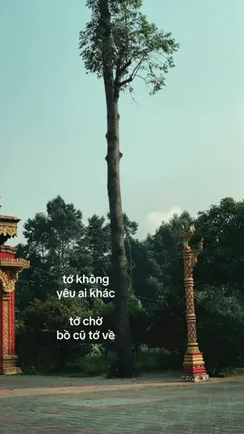 rồi chừng nào mới chịu về🙃