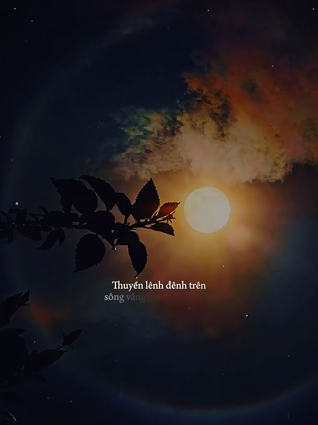 Bóng trăng treo êm đềm vời vợi... [ Con Tim Đơn Phương ] #contimdonphuong #nhacbuontamtrang #tramcamxuc💔 #maucapcut #phonhac 