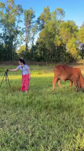 sibatngarit#promosigratis #promositiktok #promosi #sobatngarit #sobatngaritnusantara 