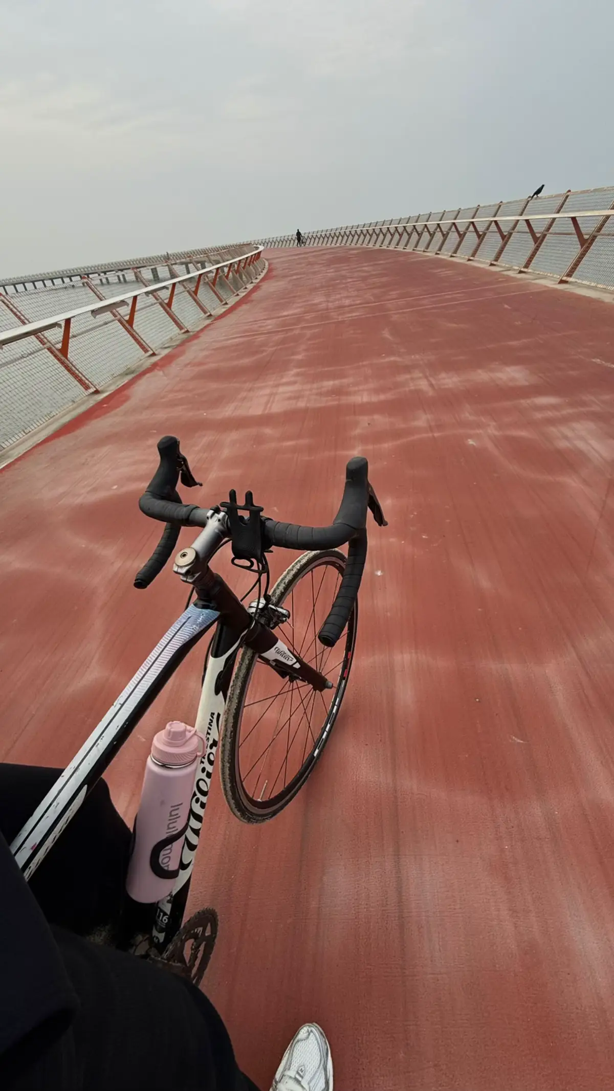 My beautiful Abu Dhabi 💕🚴