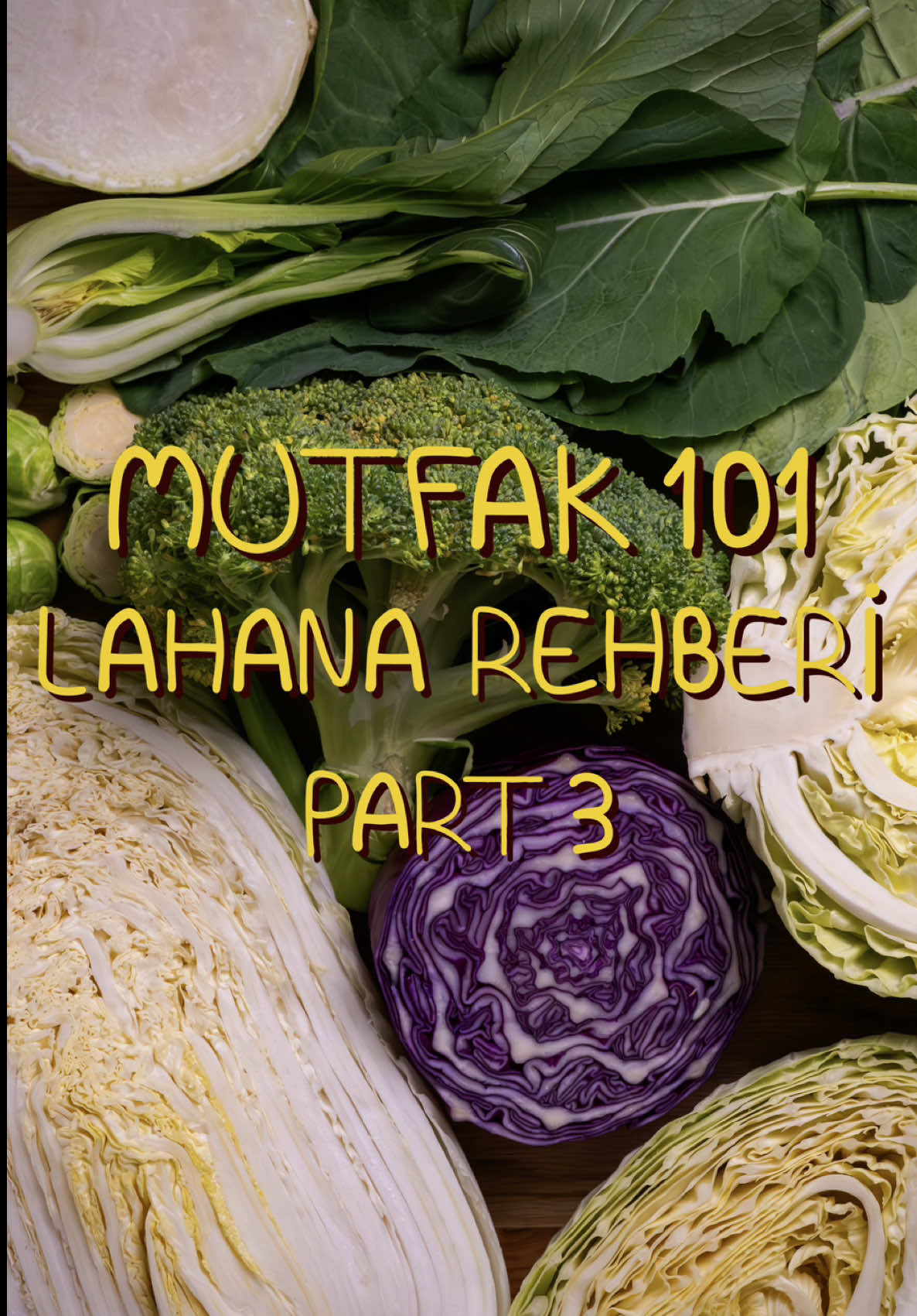 MUTFAK 101: Lahana Rehberi Part 3🥦 Size sebze ailelerini anlattığım rehber serisinin yeni bölümünde lahana ailesini anlatıyorum. Hadi gelin, çeşit çeşit lahana türünü ve diğer kardeşlerini birlikte öğrenelim👍🏻  Daha iyi yemek pişirmek için takipte kalmayı unutmayın! Hadi görüşürüz! #mutfak101 #lahana #lahanatürleri  