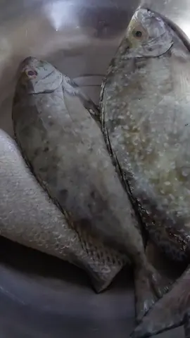 #مملكة_البحرين🇧🇭 