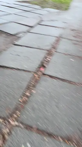 #ухелянт #хуліган 