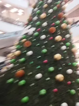 #mandarino #mandarinavidad #lanavidademandarino #mandarinismo #mandarinovibra 