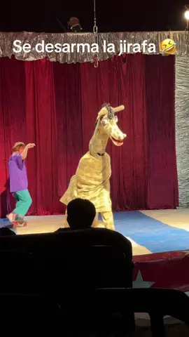 Se desarma la Jirafa 🤣🤣 Sifon Circus en #Ranchillos #Tucuman #Viral 