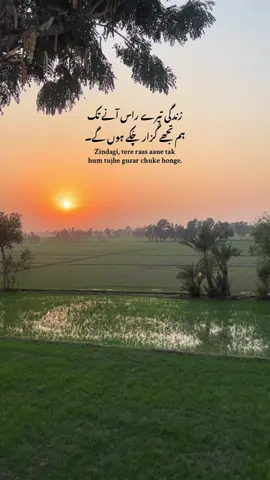 LINES ❤️‍🩹 #fyp #villagevibes #videography #unfrezzmyaccount #growmyaccount 