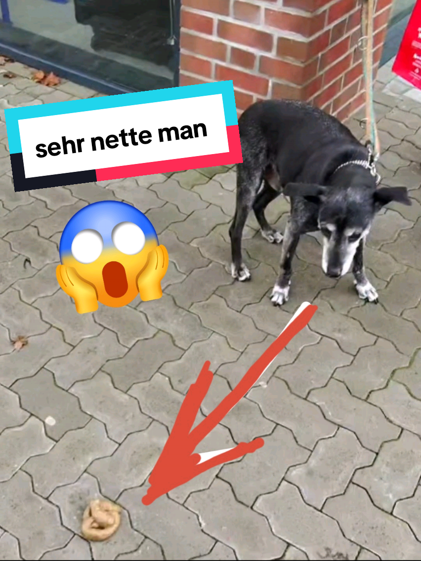 Ich liebe Hunde  #streetcomedy #witzig #fürdich #prankvideos #furdich 
