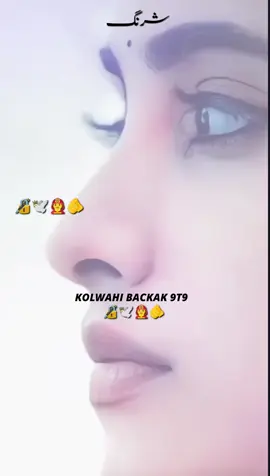 #ustad humdard #Sasoli #