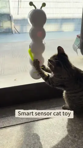 🐛⚡ **Self-play mode: ACTIVATED!** 🤖😻 Let your kitty chase, pounce, and *obsess* over the **allforpaws Smart Caterpillar Toy**! This suction-cup-powered wiggler uses *motion sensors* to dart and dance—keeping cats entertained for hours (even when you’re busy!). 🔋🎉  💬 Comment “CATERPILLAR” to treat your cat to this spring’s *must-have* toy! 🌸  #SmartCatToys #allforpaws #CaterpillarChaos #CatLovers #SelfEntertainment  