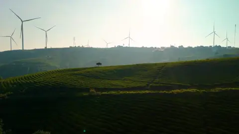 🇻🇳❤#fypシ #xh #xuhuongtiktok #fyp #xuhuong 