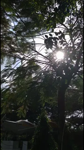 #CapCut #kataustadz #positivevibes #mindsetmotivation 