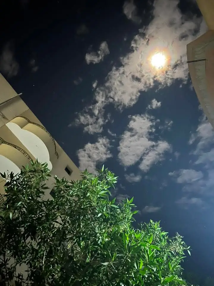 #fypage #عبدالقوي #foryou #الحمدالله_علی_کل_حال❤ #صلي_علي_النبي_محمد_صلي_الله_عليه_وسلم 