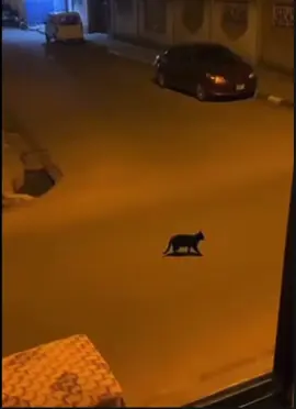 #americjettmontaz #🇲🇱🇬🇦🇧🇫🇨🇮🇬🇳🇪🇸🇺🇸🇲🇷🇨🇳🇫🇷🇩🇪 #débloquer #malibamako #tippstiktokviral 