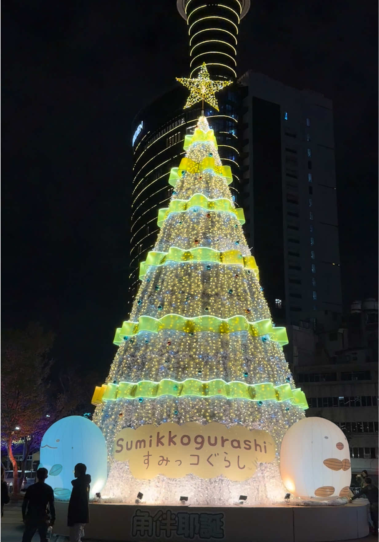 Cây thông trước ga Đài Trung#nguoivietnamtaidailoan🇻🇳🇹🇼 #nganalto #duhocsinhdailoan #daitrung #vietnamdailoan🇻🇳🇹🇼 