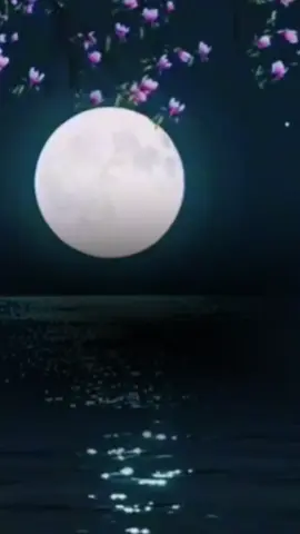 #CapCut #قران كريم #راحة_نفسية #اللهم_صل_وسلم_على_نبينا_محمد 