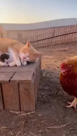 #ميمز #ضحك #تحشيش #وناسه 