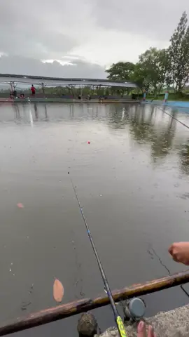 #besutanbawalyogyakarta #galamasterklaten #galamasterbawaljogja #pasung #tirtomili  udan udan nekat ngango kambil 