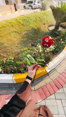 #تصويري #جامعة #الزهراءعليهاالسلام  . . . . #توفيقك_يالله🍃🖤 #لايك_متابعه_حركة_الاكسبلور❤🦋explorer 