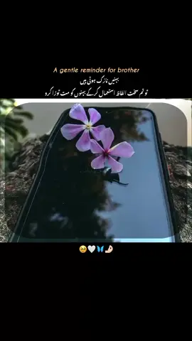 😍🤍             @tiktok creators don't under review My vedios#creatorsearchinsights #islamicquotes #fypage #fyp #fyppppppppppppppppppppppp #dontunderreviewmyvedio #trendingvideo #deeplines #creatorsearchinsights #millionaddition #dontunderreviewmyvedio #trending #deep #trendingvideo #fypage #fypage #fypage #fypage #fypage #islamicquotes views hi dydo last vedio py bh nhi hain 💔🥲@TikTok 