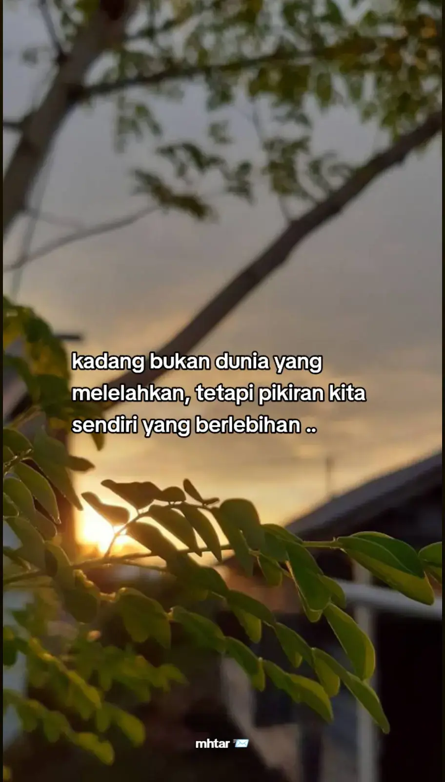 berikut bahan2 membuat es campur Bahan-bahan 📝  ---- 100 gr jelly cincau 100 gr jelly jeruk 100 gr alpukat 50 gr melon, potong kecil 50 gr nangka, iris kecil 50 gr selasih 65 ml Santan Rose Brand 100 gr Gula Pasir Rose Brand 50 ml susu kental manis secukupnya Es batu CookpadBuka di Aplikasi Cookpad Cara Membuat 1 : Siapkan semua bahan. 2 : Didihkan air dan santan, tambahkan gula pasir, aduk hingga rata, rebus sampai matang. 3 : Siapkan tempat untuk es campur. Masukkan es batu, nangka, melon, lalu tambahkan jelly, alpukat dan selasih. 4 : Tuang air rebusan santan ke mangkok. Tambahkan susu kental manis. aduk rata 5 : Es campur siap disajikan. Selamat Mencoba ☺️  #galaubrutal #mhtar442 #fyppppppppppppppppppppppp #fyppppppppppppppppppppppp #fyppppppppppppppppppppppp 