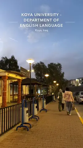 #koyauniversity 😍🤎