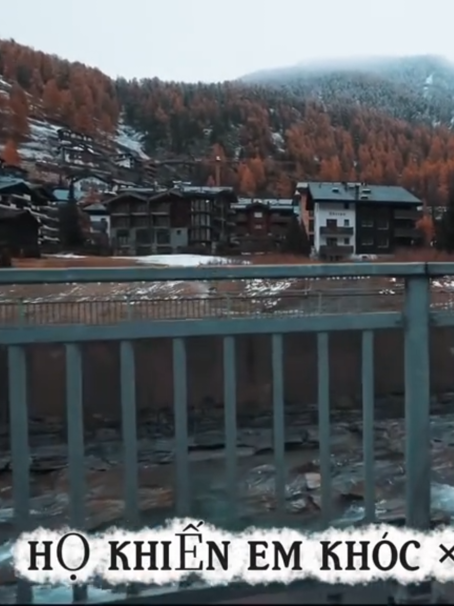 HỌ KHIẾN EM KHÓC × VƯƠNG LÂM#CapCut 