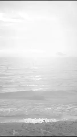 #عبارات_جميلة_وقويه😉🖤 #خواطر #اقتباسات #اكسبلور #fypシ゚viral🖤tiktok 