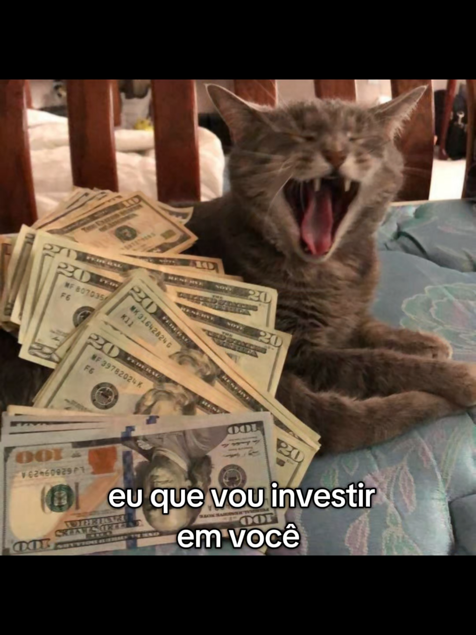 Vou Investir em Você (part. MC Carol) - Puterrier ou essa aqui é boa demais #fyp #gatos #puterrier #mccarol 
