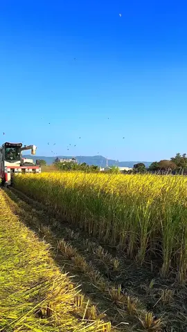 Al-Muhandis Import and Export Company, Muhammad Khater Al-Jadeed, presents Zero Import, Abu Khater Import and Export 