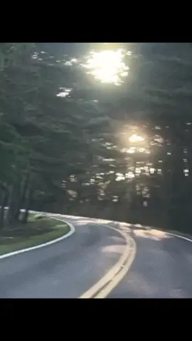 সেদিন মা হটাৎ বলছিলেন, শোেন বাবা, কখনো যদি নিজের পছন্দে বিয়ে করিসও, তাহলে স্ত্রী হিসেবে একটা সুন্দর মুখের চেয়ে একটা হাসিমাখা মুখকে প্রাধান্য দিস। পরে যখন বসের বকা খেয়ে, বাজারে দর কষা-কষি করে, বাসে ঝুলে, 30 মিনিটের রাস্তা ২ ঘন্টায় অতিক্রম করে বাড়ি ফিরবি, তখন দরজায় তোর সবচেয়ে বেশী প্রয়োজন হবে একজন হাসিমাখা মুখের নারীর! যে কিনা ওইসময় বিধ্বস্ত তোকে একজন বাচ্চার মতো আগলে নিবে। . . . . . . . #foryou #tiz_raihan_10 #fpy @TikTok Bangladesh 