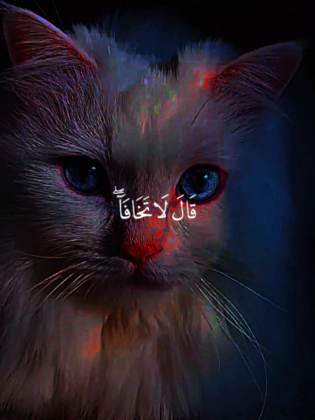 Qüřãn #quran #islamic_video #viralvideos #everyone #fyp 