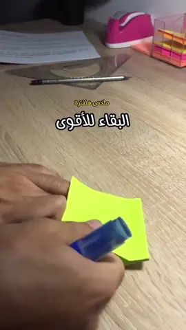 البقاء للاقوى 💪🏻🤍 #السادس_الاعدادي #تحفيزات_إيجابية #السادس🖐👍 #طلاب_جامعة_دجلة #اكسبلورexplore 