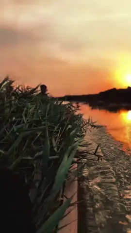 #كاطع__المياحي تمنيت الكرهاااا#هاشتاقات_تيك_توك_العرب #تصميم_فيديوهات🎶🎤🎬تصميمي🔥 #تفاعلكم_لايك_متابعه_اكسبلورر__عادت_نشر🔁 #فدوهــہہـــ❧ـ🥺احبكم 