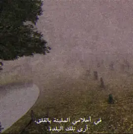 #سايلنت_هيل٢ #fyp #foryoupage #duet #trending 