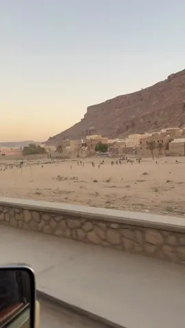 #الشعب_الصيني_ماله_حل😂😂 #حضارم_ماشي_كمانا 