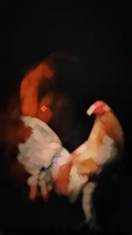 JANGAN SAMPAI UANG MERUBAH GAYA BICARAMU!  #segaon #segaongamefarm #fyppppppppppppppppppppppp #fypviraltiktok🖤シ゚☆♡ #fypviralシ 