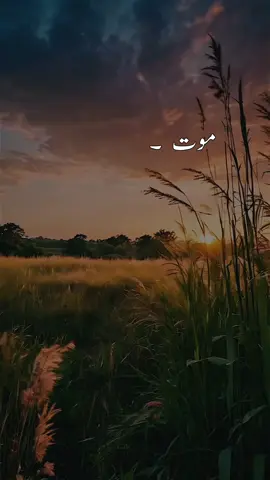 #trendingvideo #foryou #viralvideo #tiktoknews #foryoupage 