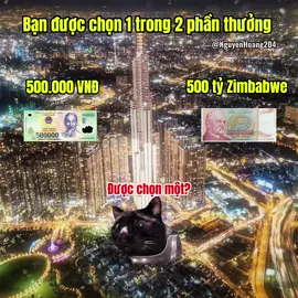 Bạn được chọn 1 trong 2 phần thưởng #meme #catmeme 