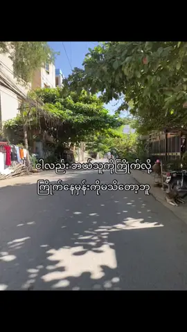 ဘယ်သူမှလည်းပြန်မကြိုက်ပါဘူး#fypシ゚ #viraltiktok #viewတက်စမ်းကွာ👊 