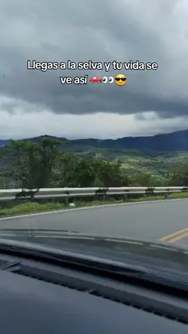 #selva #moyobamba #viaje 