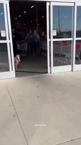 #الشعب_الصيني_ماله_حل😂😂 